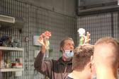 IMG 8756