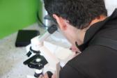 IMG 8817