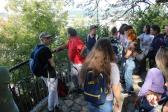 IMG 8976