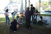 IMG 8985