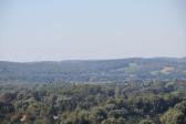 IMG 8988