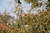 IMG 8989