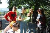 IMG 8991