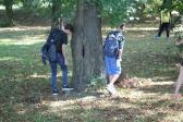 IMG 8993