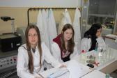 IMG 3090