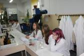IMG 3091