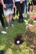IMG 2761