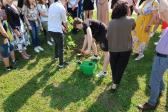 IMG 2768